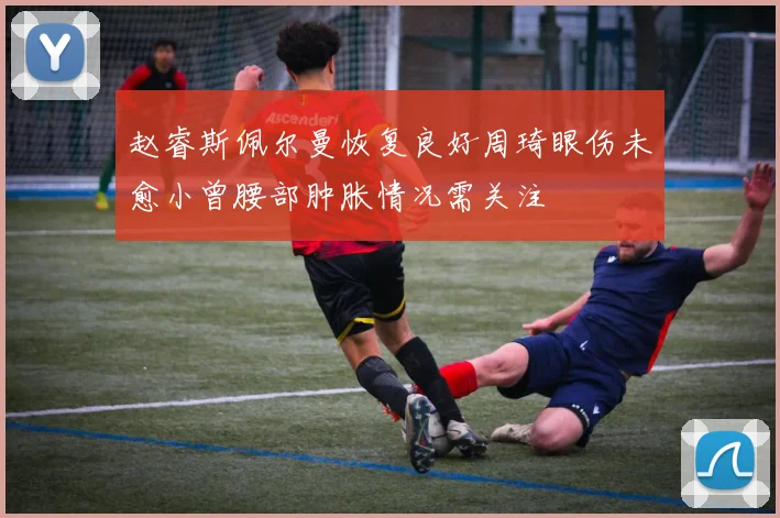 赵睿斯佩尔曼恢复良好周琦眼伤未愈小曾腰部肿胀情况需关注