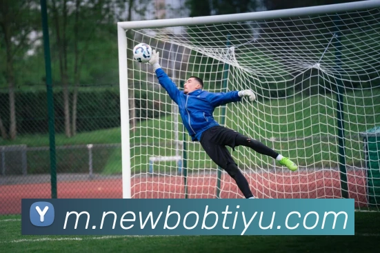 BOB体育平台生态图