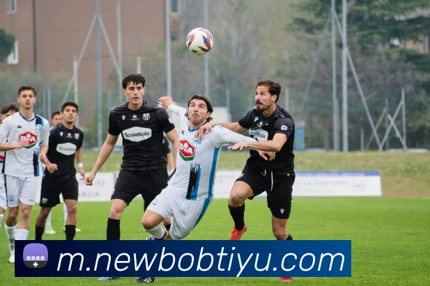 BOB体育APP 封面图